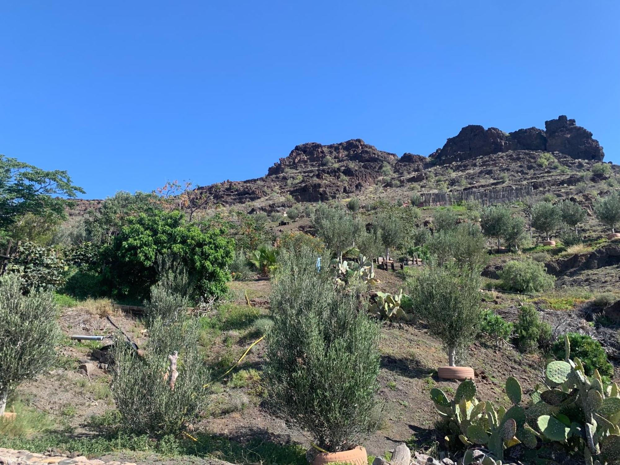 Casa Galdar Hébergement de vacances